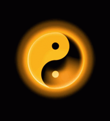 yin-yang-spin